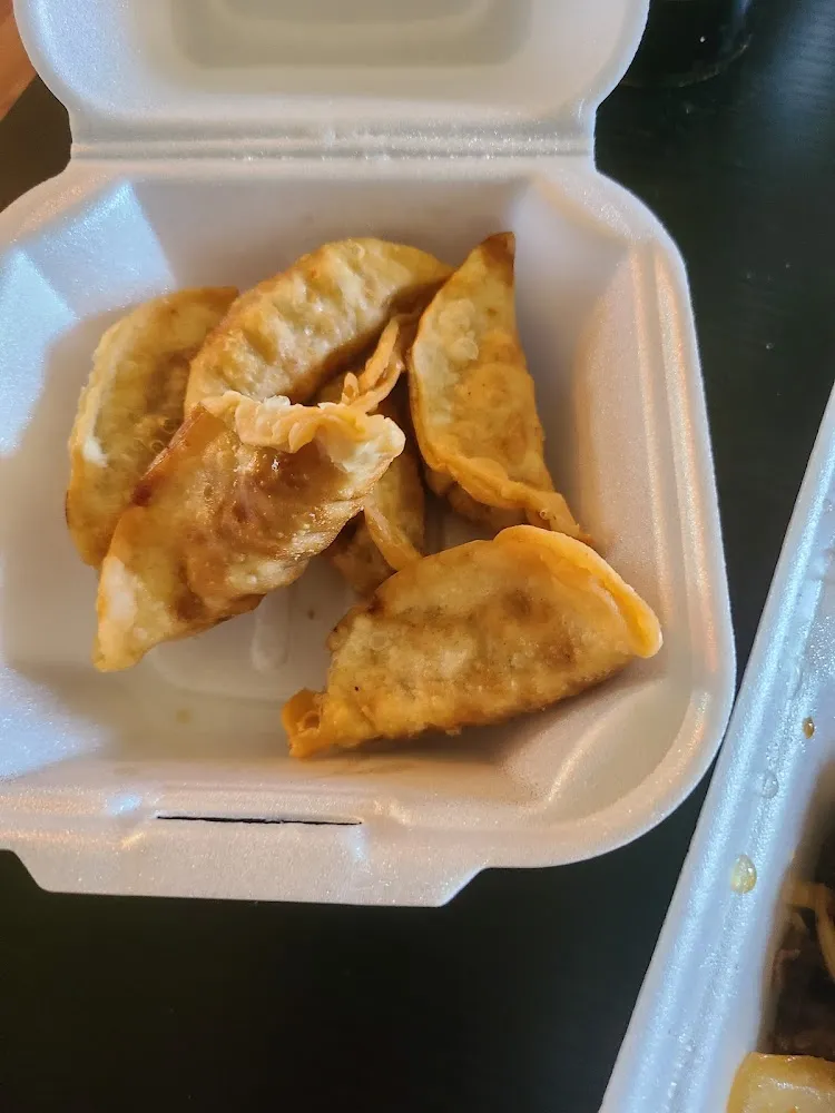 Fried Dumplings